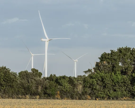 Beteiligung an der Windparkanlage Wallis