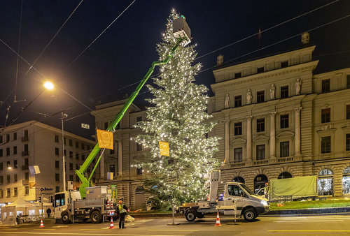 Der grösste Weihnachtsbaum von Luzern